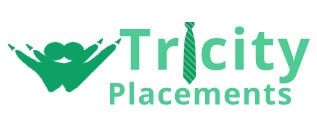 best consulting placement services